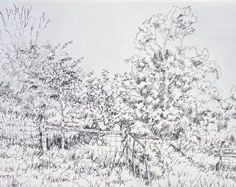 Open Gate. Original Pen & Ink drawing of a rural Indiana landscape. Hand drawn, one of a kind drawing.