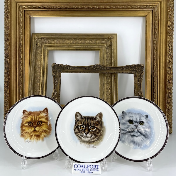 Vintage Coleport Fine Mid Century Set of 3 Hand Painted and Signed Cat Plates Fine Porcelain Cabinet Plates/Wall Plates Pussycats C.1960's