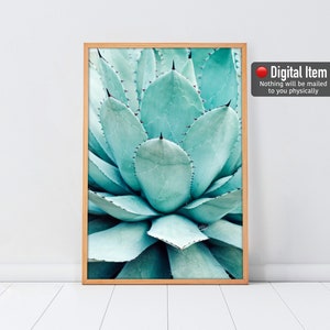 Sukkulenten Print, Agave Poster, Große Blaue botanische Wandkunst, Boho Pflanzendruck, Kaktus Fotografie, Wüstenkaktus Kunst, Agave Digitaldruck.
