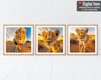 Lion Family Nursery Art Prints: Set of 3 Square Photos (Digital Download)