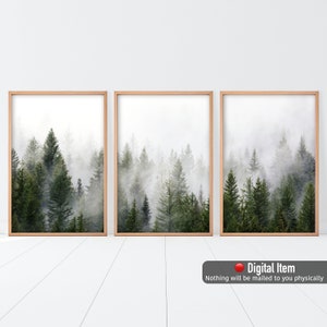 Walddrucke, 3er-Set Nebelwald, Wald Fotografie, Große Wanddekoration, Nebliger Walddruck, Grüne Bäume Fogg Poster Set.