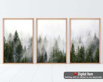 May include: Three framed prints of a misty forest scene with tall evergreen trees. The prints are in a light wood frame and are hung on a white wall.