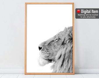 Lion Photography Print: Black and White Safari Animal Wall Art (Digital Print)
