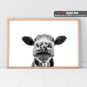 Kuh Druck, Schwarz - Weiß Kuh Poster, Kuh Portrait, Digitale Wand Kunst, Bauernhaus Wand Dekor.