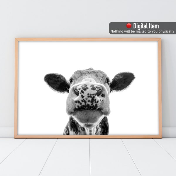 Impression de vache, affiche de vache noir et blanc, portrait de vache, art mural numérique, décoration murale de ferme.
