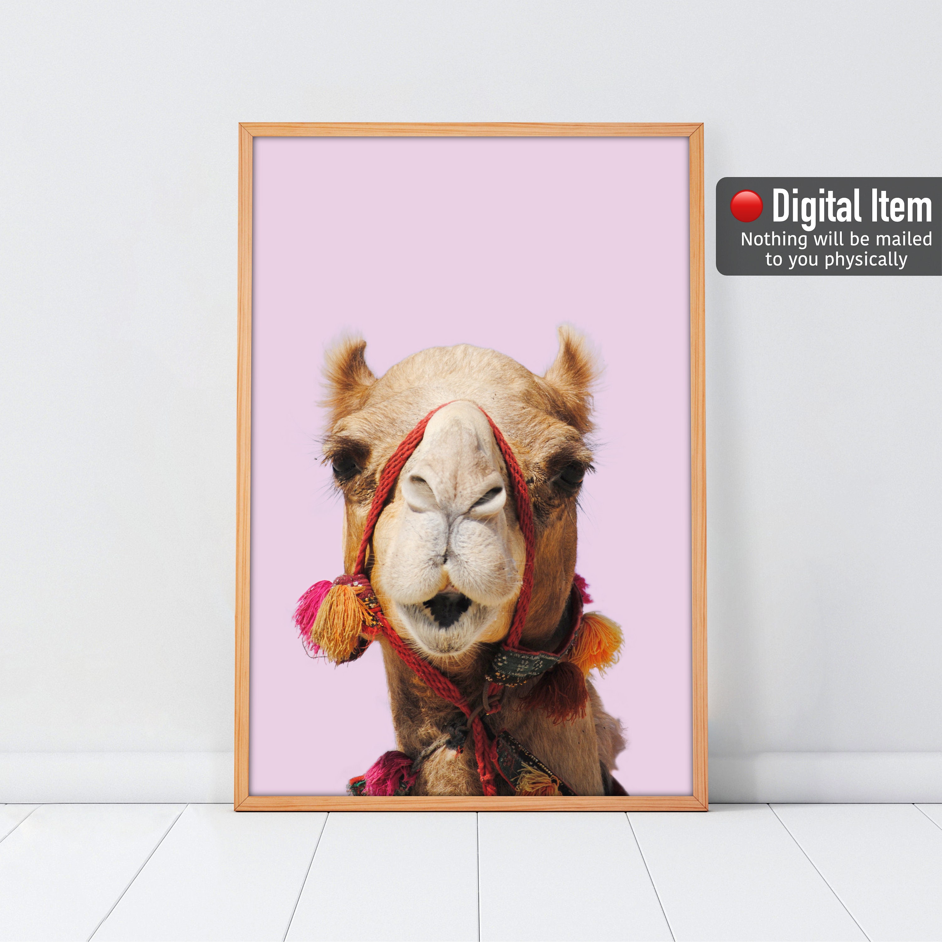 その他 Elephant brand エレファント・ファミリー Elephant Family | コラボレーション