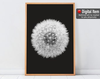 May include: A black and white photograph of a dandelion seed head against a black background. The dandelion is in focus and the background is blurred.