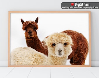 Lama Paar Kinderzimmer Poster: Bauernhaus Alpaka Wand Kunst (Digitaldruck)