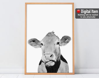 Funny Cow Licking Nose Print: Farmhouse Wall Art (Digital Download)