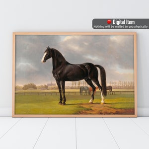 Tableau vintage cheval noir : impression d&#39;art équestre (téléchargement numérique)