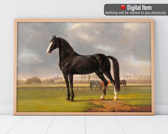 Black Horse Vintage Painting: Equestrian Art Print (Digital Download)