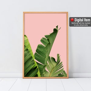 Impresión de hojas de plátano, póster rosa, arte de hojas de plátano, impresión de hojas, impresión verde rosa, hoja imprimible, decoración de pared tropical, arte de hojas de plátano rosa