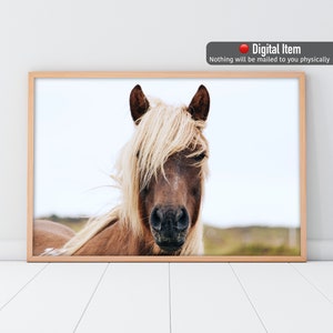 Icelandic Horse Photo Print: Rustic Farmhouse Wall Art (Digital Download)