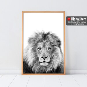 Lion Print, Black And White Lion Poster, Lion Safari Wall Art, Nursery Decor, Animal Wall Decor, Lion Black White, Lion Photography Canvas