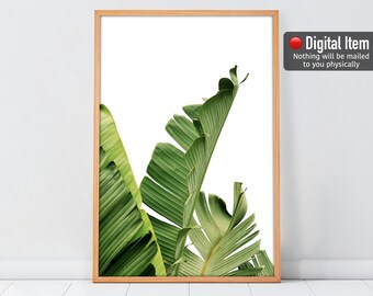 PLANT ART Print Banana Leaf Print, Tropical Botanical Print DOWNLOAD ...