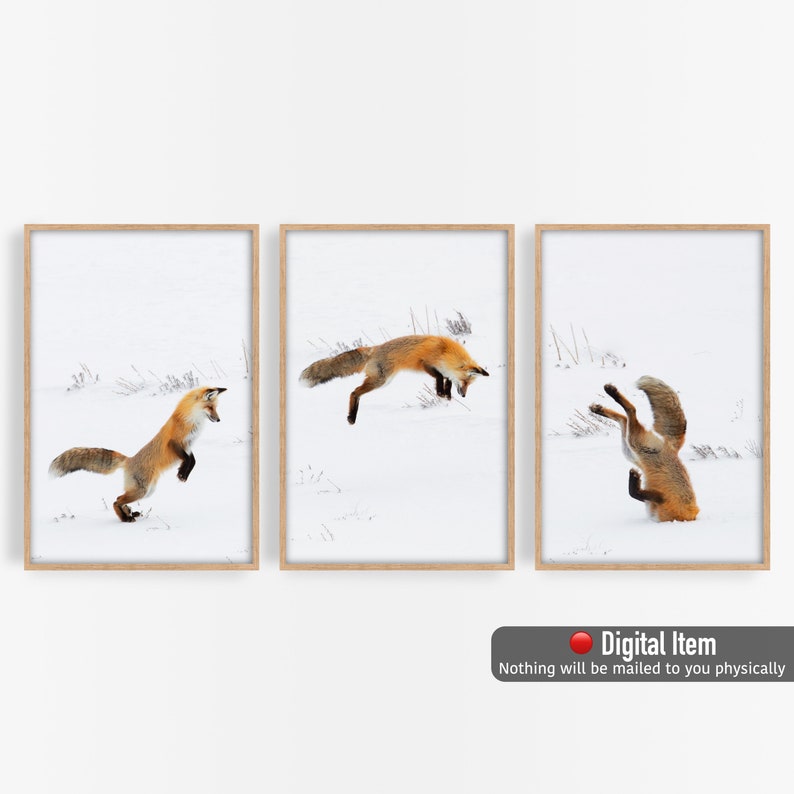 May include: Three framed prints of a red fox jumping in the snow. The fox is in different poses in each print. The prints are in wooden frames.