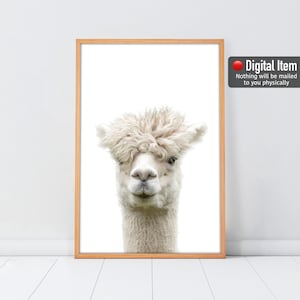 Funny White Llama Print: Nursery Animals Wall Decor (Digital Download)