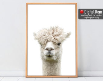 Funny White Llama Print: Nursery Animals Wall Decor (Digital Download)