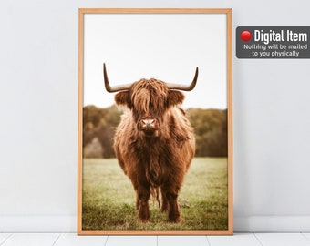 Highland Cow Poster: Scottish Cattle Print, Farmhouse Wall Art (Digital Download)