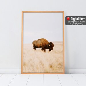 Bison Print, Farmhouse Wall Art, Brown Yak Poster, Neutral Farm Wall Decor, Wild Yak in the field. Digital Farm Print. Printable Art. Bison.