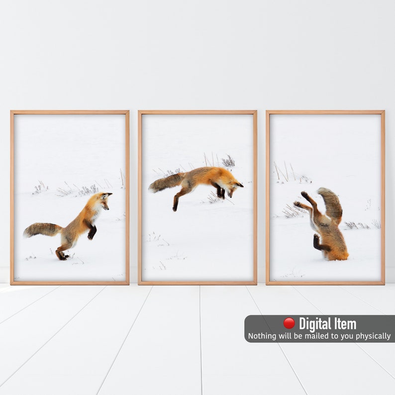 May include: A set of three digital prints featuring a red fox jumping in the snow. The fox is in mid-air in the center print, landing in the left print, and taking off in the right print.