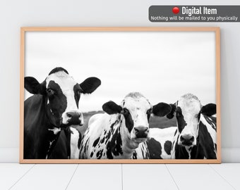 Cow Black White Print, 3 Cows Poster, Farmhouse Wall Decor, Black White Decor, Animals Print, Cows Funny Print, Digital BW Print, Cow Photo.
