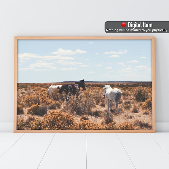 Wild Horses Desert Print: Arizona Southwest Wall Art (Digital Download)