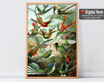 Birds Print, Vintage Birds Painting, Tropical Birds Wall Art, Hummingbirds Digital Print. Printable Wall Decor.