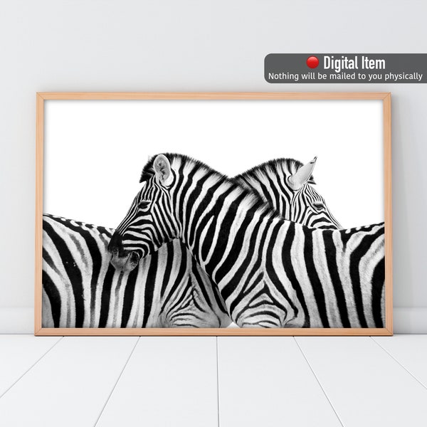 Two Zebras Poster, Zebra Print, Couple Zebras Wall Art, Black White Print, Zebra Poster, Nursery Decor, Animal Black White Print,Zebra Lover