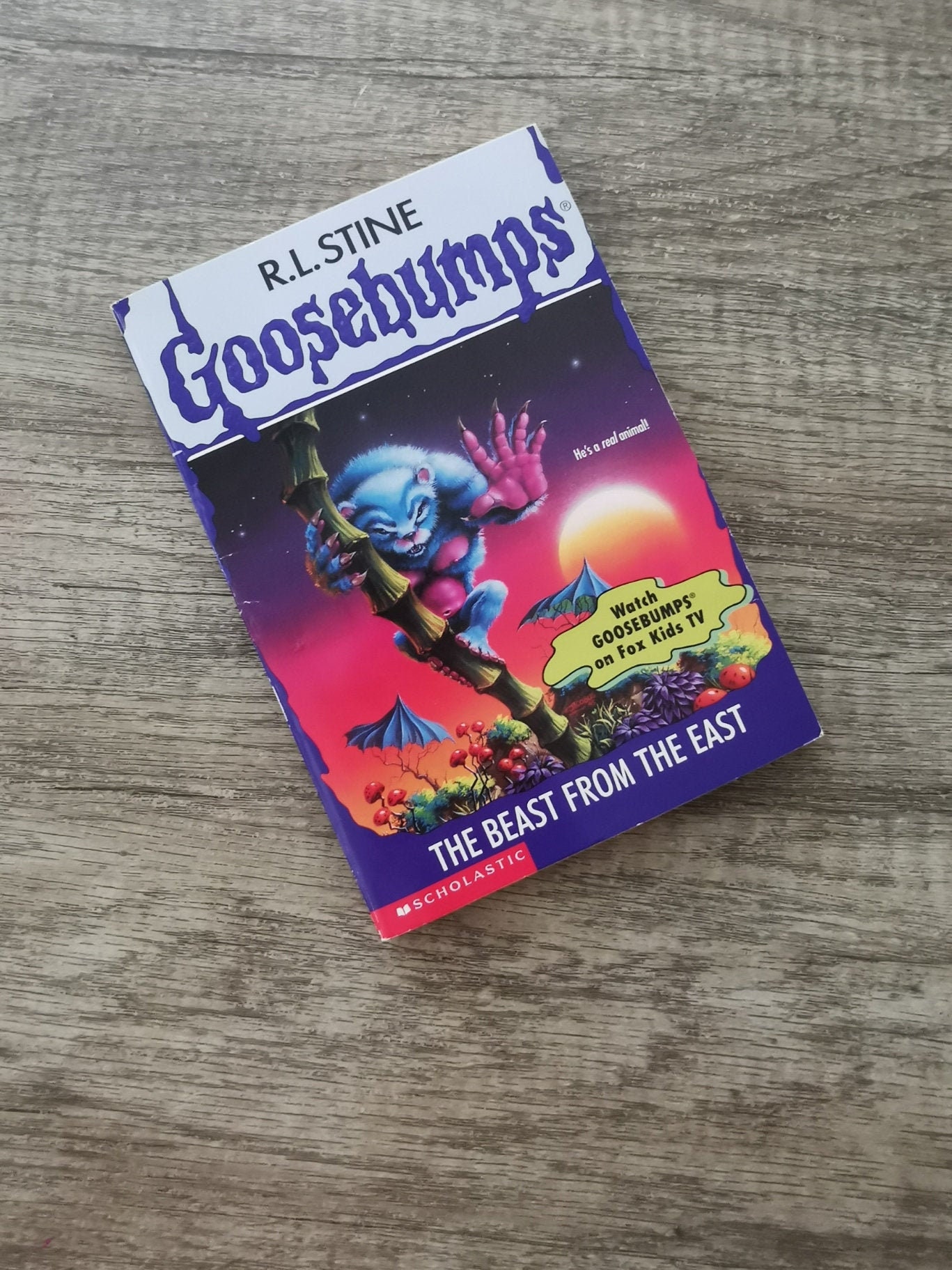 Goosebumps 43 The Beast From The East Ghost Camp R L Etsy