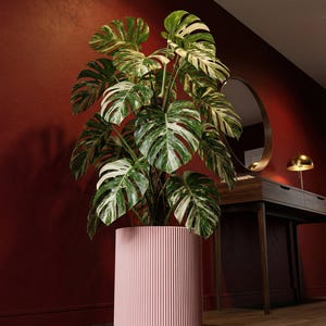 Candy Pink Ray Design Planter Pot with Drainage & Water Plate