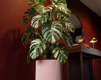 Candy Pink Ray Design Planter Pot with Drainage & Water Plate