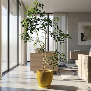 Lemon Yellow Coconut Design Planter Pot with Drainage & Water Plate