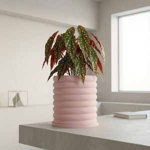 Candy Pink Slinky Design Planter Pot with Drainage & Water Plate