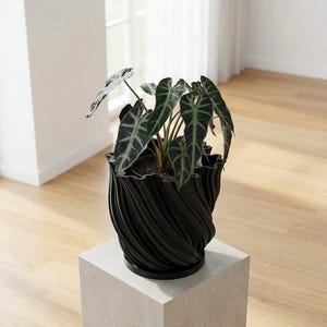 A black planter pot with a plant sits on a dark wood table. A round mirror hangs on the wall behind the plant.