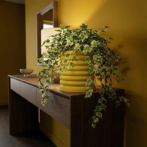 Lemon Yellow Slinky Design Planter Pot with Drainage & Water Plate