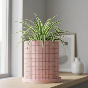 May include: A pink, cylindrical planter with a grid-like texture, holding a green and white spider plant. The planter sits on a matching saucer. The plant is on a wooden surface near a window.