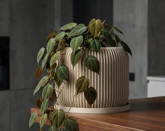 Beige Nest Design Planter Pot with Drainage & Water Plate