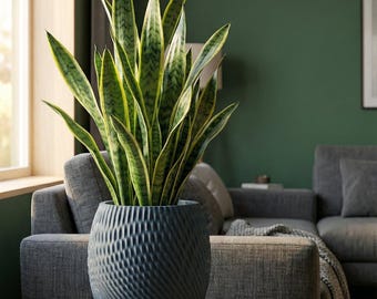 BlueSteel Ripple Design Planter Pot with Drainage & Water Plate