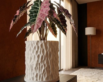 Beige Terra Design Planter Pot with Drainage & Water Plate