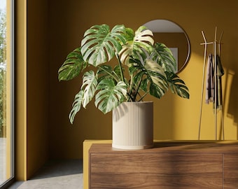 Beige Ray Design Planter Pot with Drainage & Water Plate