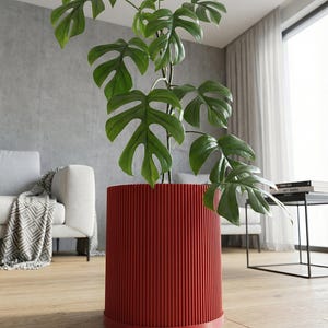 Lava Red Ray Design Planter Pot with Drainage & Water Plate