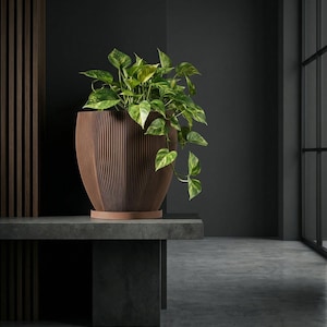 Nut Brown Coconut Design Planter Pot with Drainage & Water Plate