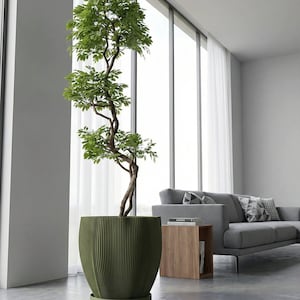 Avocado Green Coconut Design Planter Pot with Drainage & Water Plate