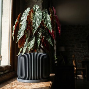 Concrete Grey Nest Design Planter Pot with Drainage & Water Plate