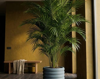 BlueSteel Slinky Design Planter Pot with Drainage & Water Plate