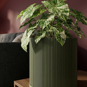 Avocado Green Ray Design Planter Pot with Drainage & Water Plate