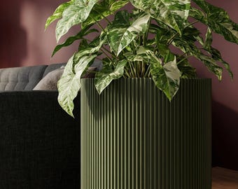 Avocado Green Ray Design Planter Pot with Drainage & Water Plate