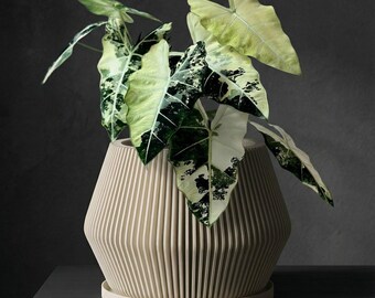 Beige Echo Design Planter Pot with Drainage & Water Plate