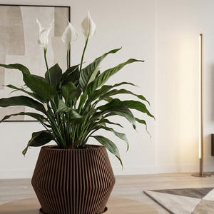 Nut Brown Echo Design Planter Pot with Drainage & Water Plate